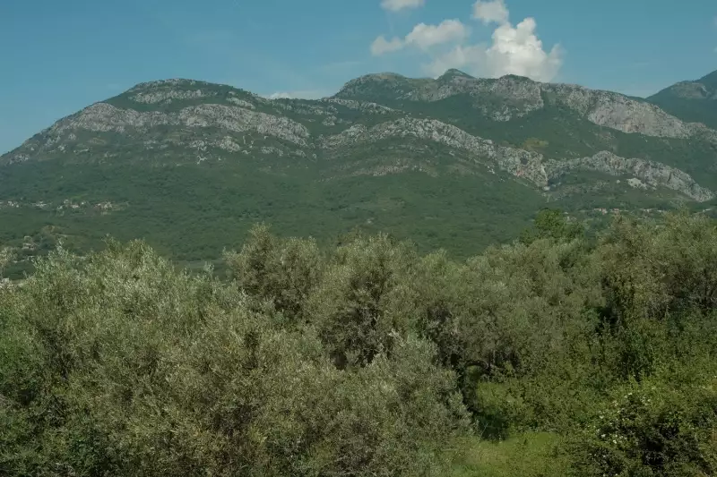 Land 1m² in Italy, Barga. Priced at 570000€ rent photo-27