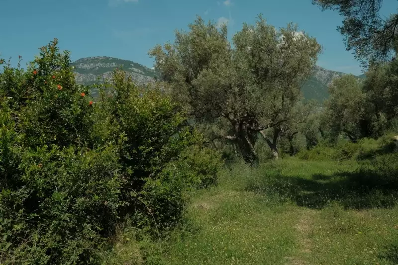 Land 1m² in Italy, Barga. Priced at 570000€ rent photo-29