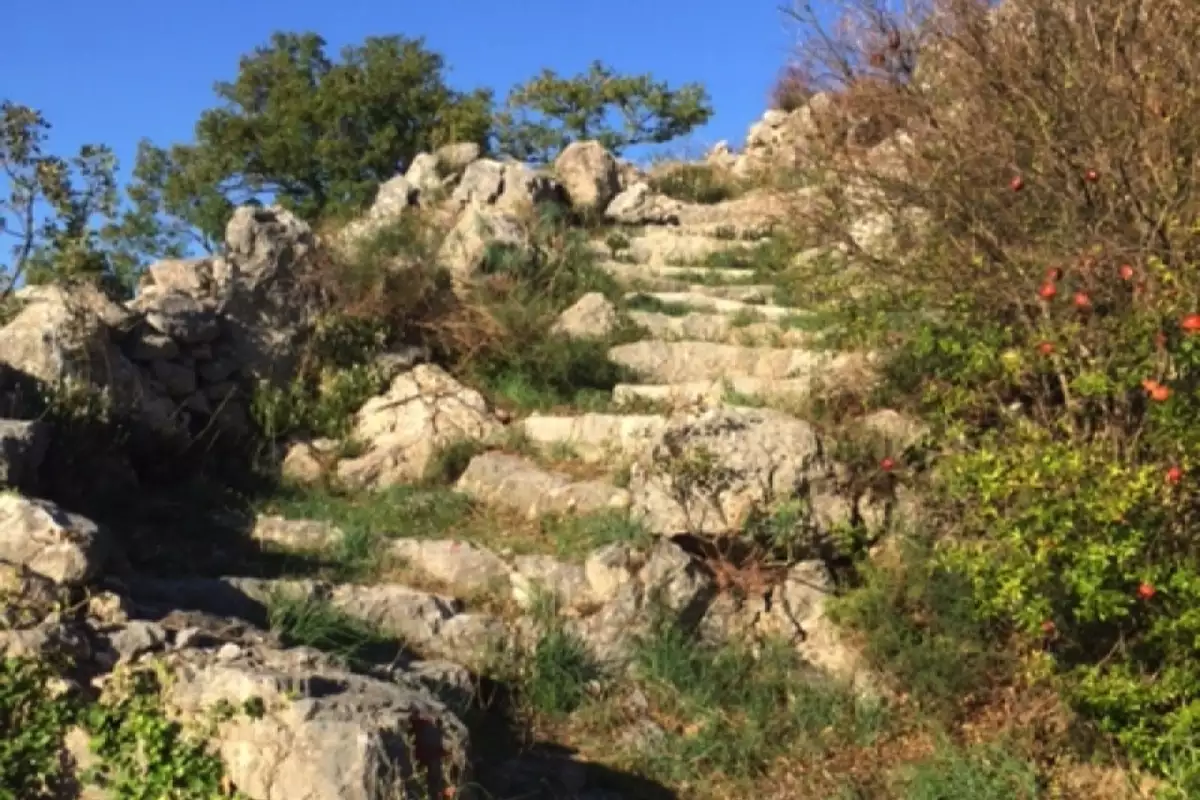 Land 1m² in Montenegro, Blizikuce. Priced at 702500€ rent photo-4