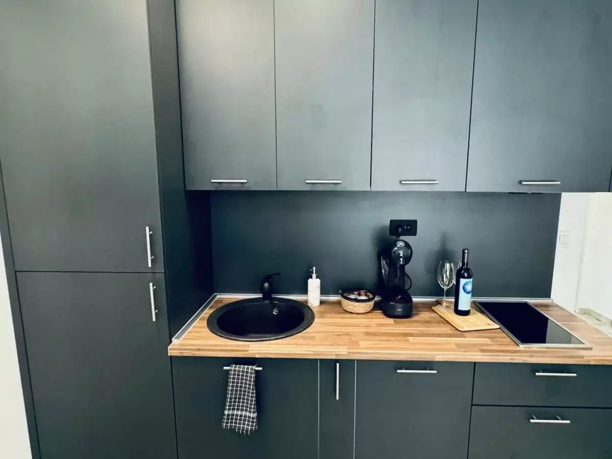 Flat 33m² in Montenegro, Rafailovici. Priced at 120000€ rent photo-4