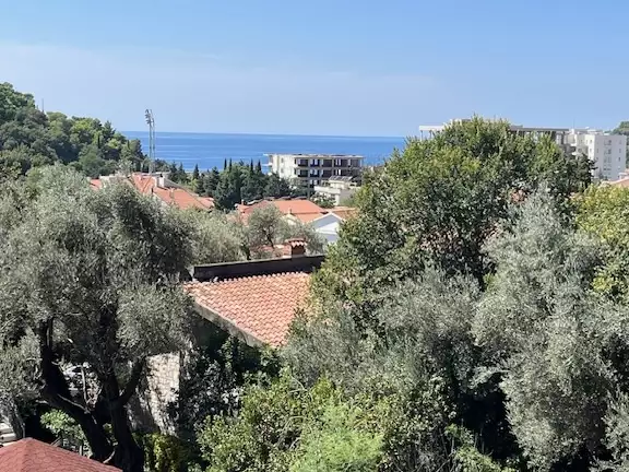 Flat 56m² in Montenegro, Petrovac. Priced at 170000€ rent photo-8