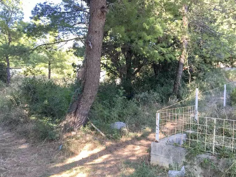 Land 1m² in Montenegro, Ratac. Priced at 50000€ rent photo-2