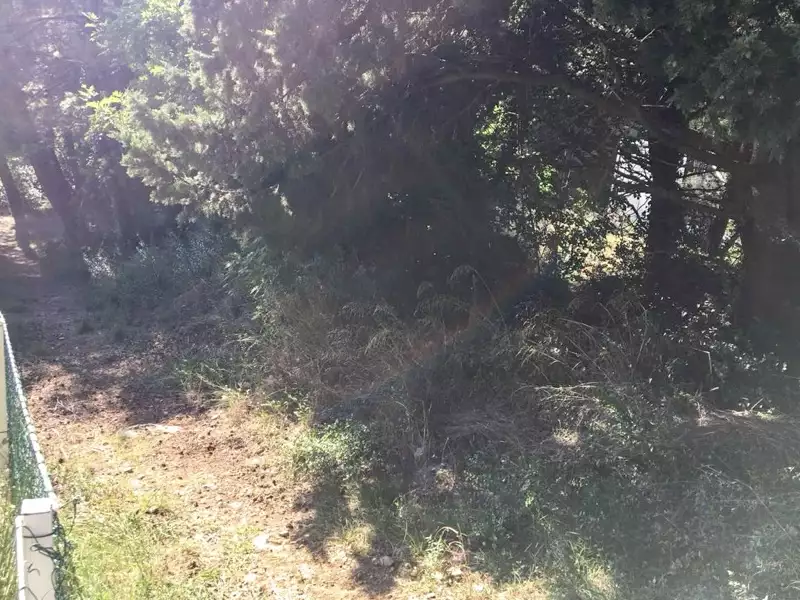 Land 1m² in Montenegro, Ratac. Priced at 50000€ rent photo-3