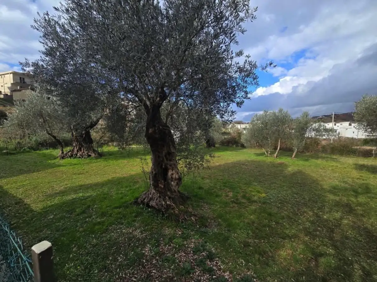 Land 1m² in Montenegro, Dobra Voda. Priced at 46000€ rent photo-5