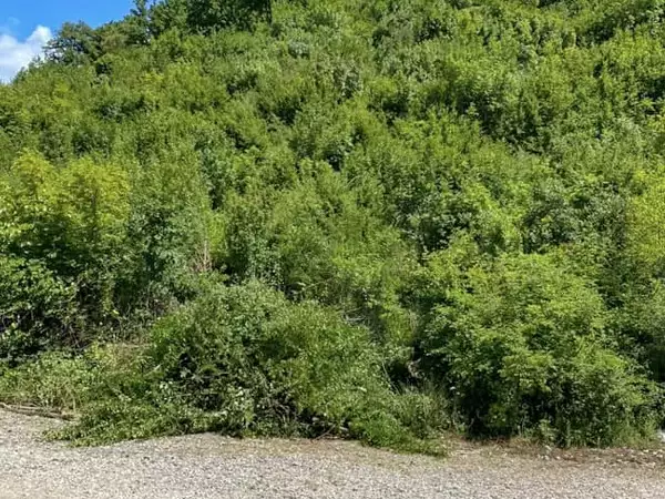 Land 1m² in Montenegro, Virpazar. Priced at 50000€ rent photo-2