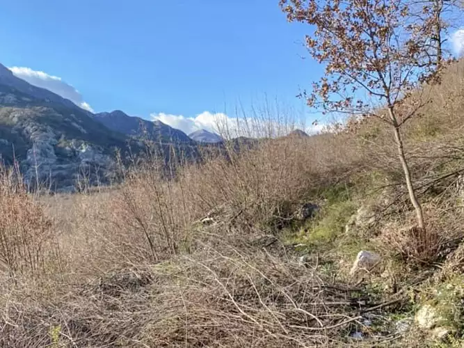 Land 1m² in Montenegro, Virpazar. Priced at 50000€ rent photo-3