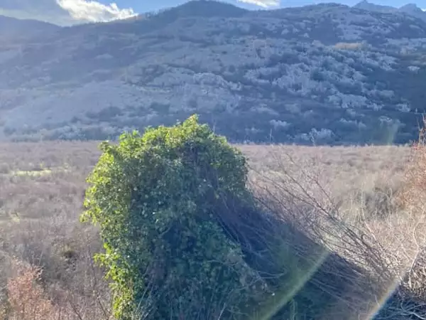 Land 1m² in Montenegro, Virpazar. Priced at 50000€ rent photo-4