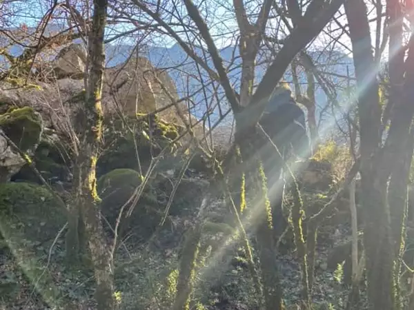 Land 1m² in Montenegro, Virpazar. Priced at 50000€ rent photo-9