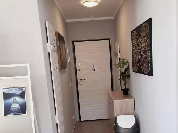 Flat 53m² in Montenegro, Becici. Priced at 220000€ rent photo-17