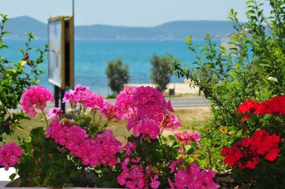Hotels 889m² in Croatia, Sukosan. Priced at 1080000€ rent photo-6