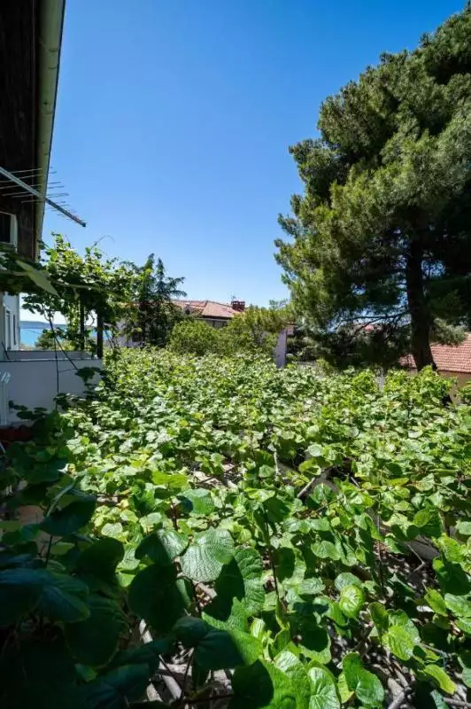 Hotels 889m² in Croatia, Sukosan. Priced at 1080000€ rent photo-21