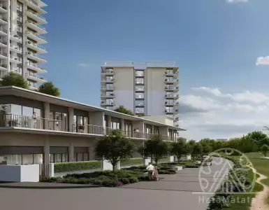 Buy in UAE for 523800$