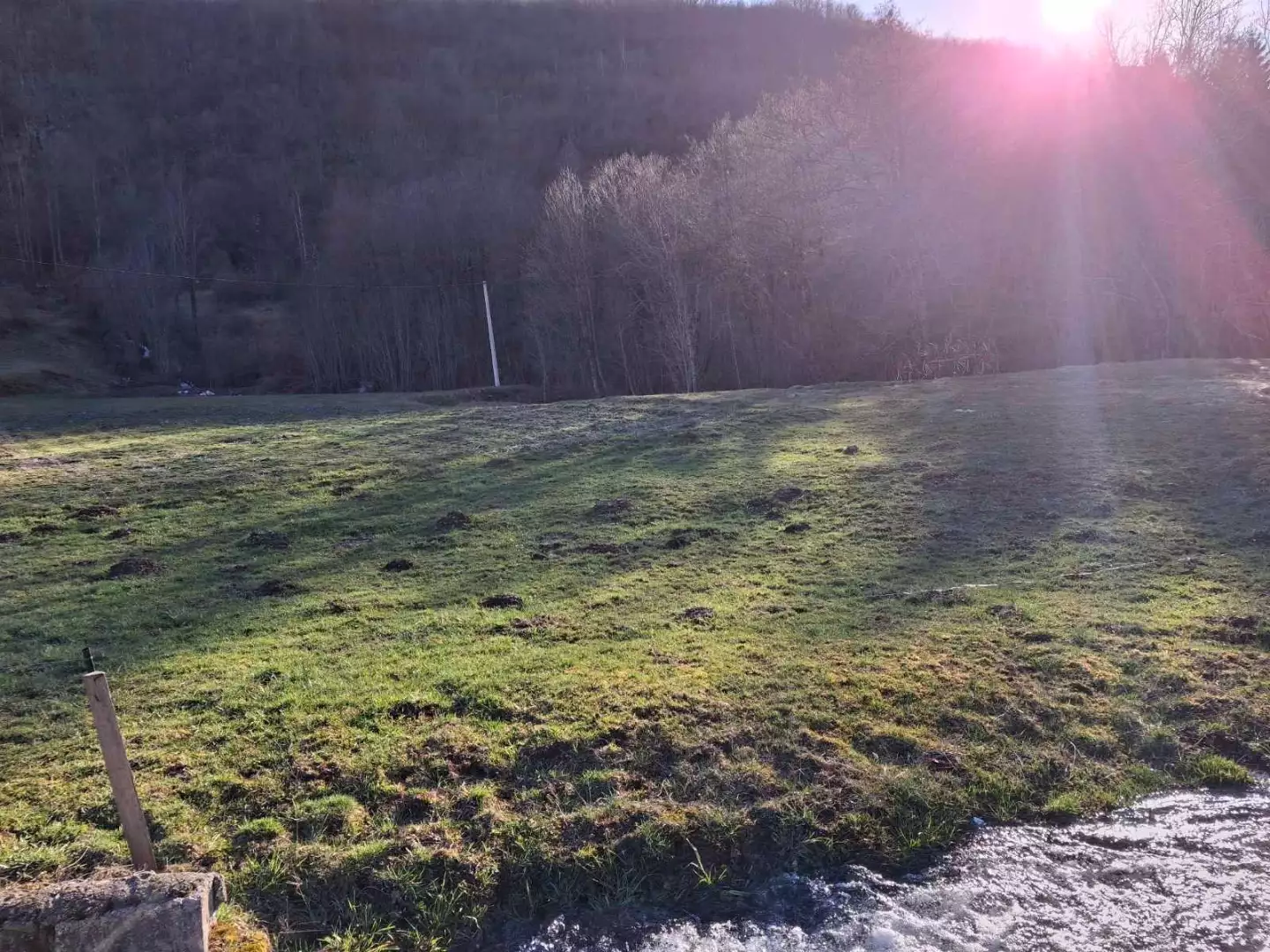 Land 2000m² in Montenegro, Kolasin. Priced at 110000€ rent photo-4