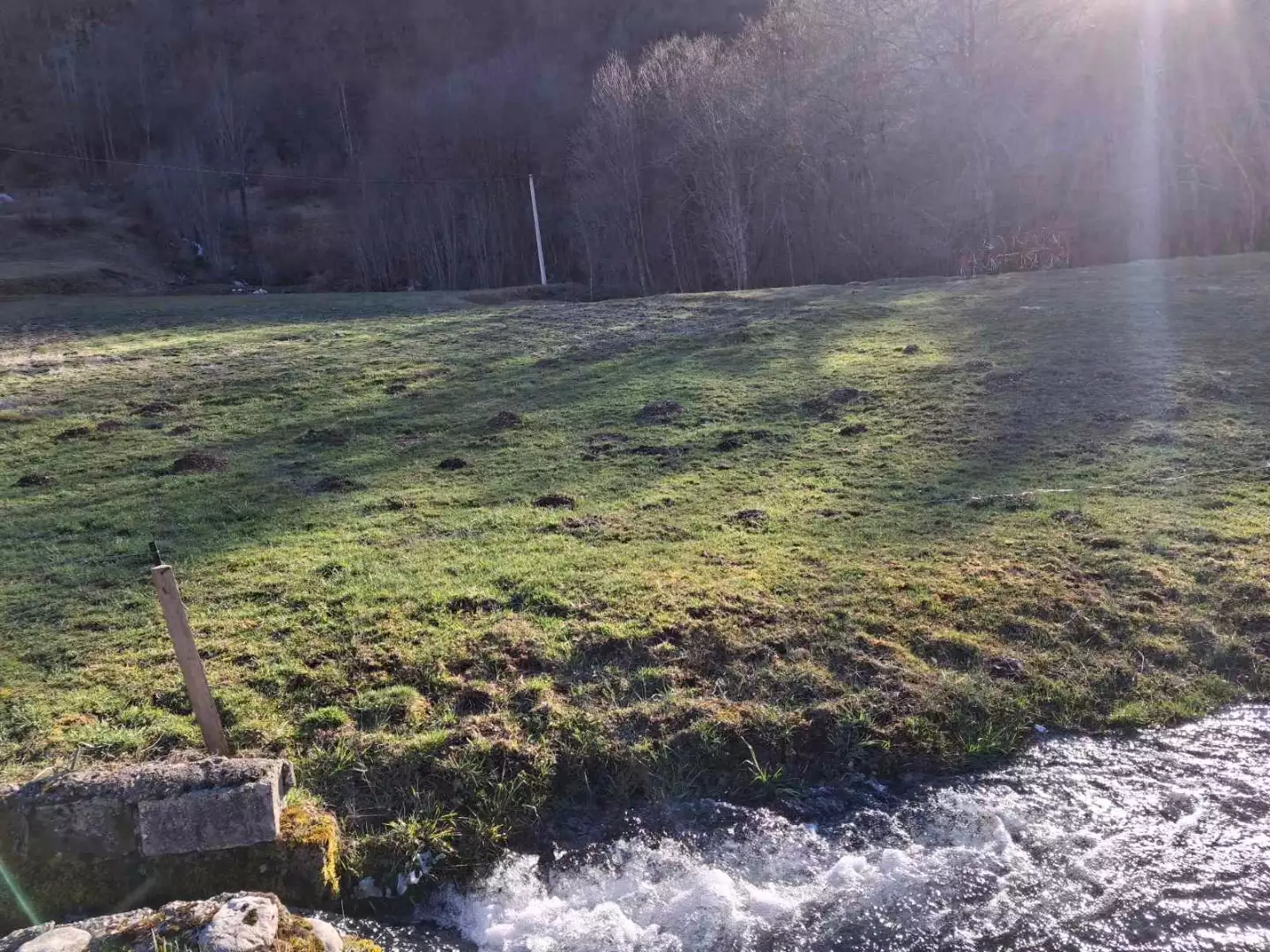 Land 2000m² in Montenegro, Kolasin. Priced at 110000€ rent photo-5