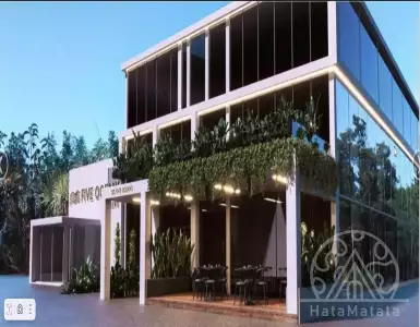 Buy in Indonesia for 225000$