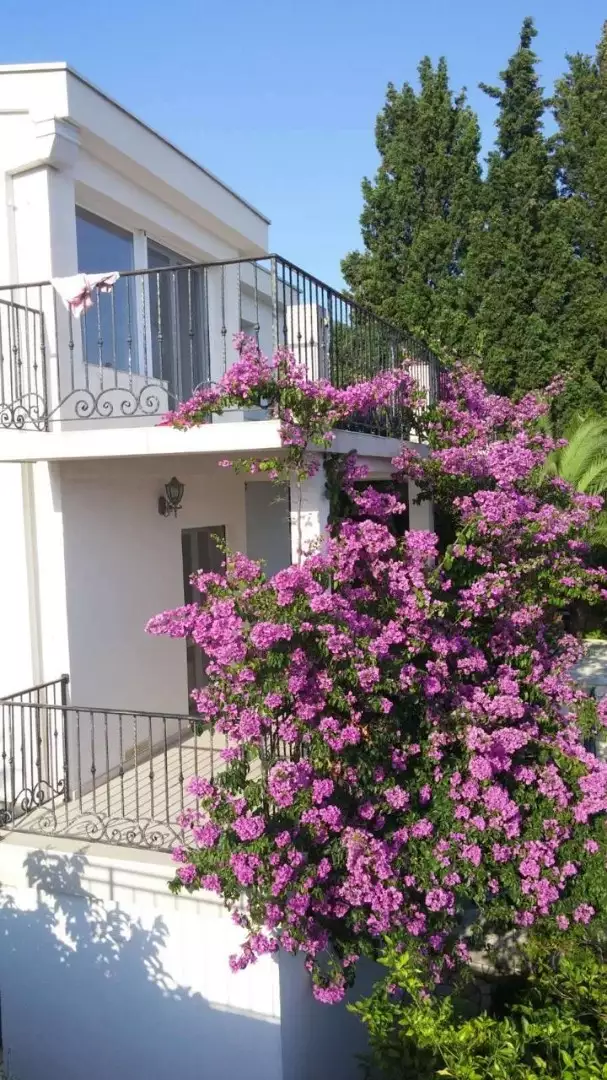 House 228m² in Montenegro, Sutomore. Priced at 400000€ rent photo-6