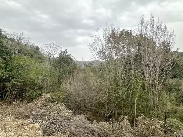 Land 1m² in Montenegro, Utjeha. Priced at 30000€ rent photo-2