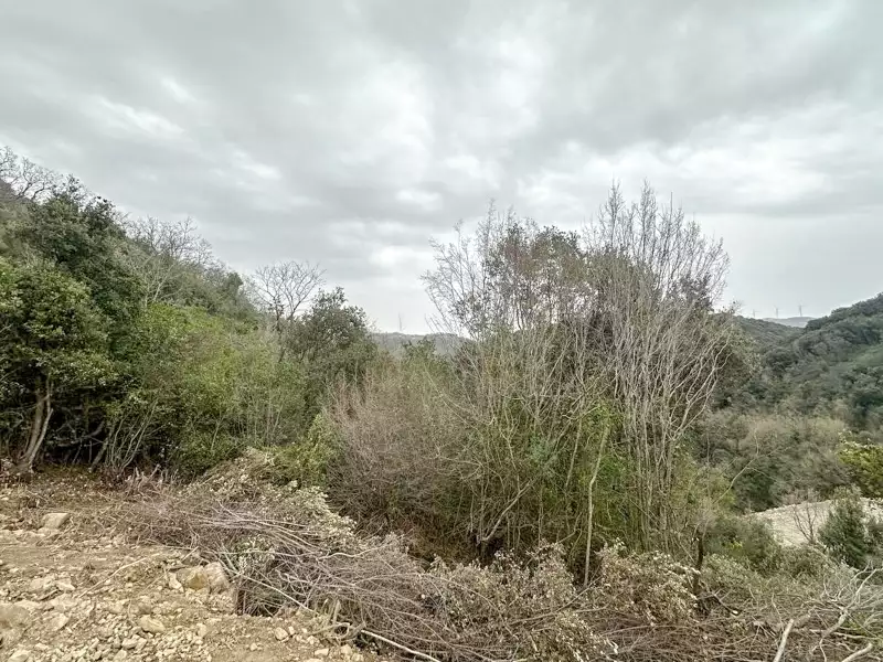 Land 1m² in Montenegro, Utjeha. Priced at 30000€ rent photo-5