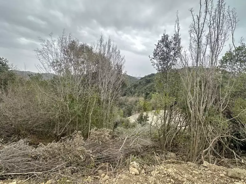 Land 1m² in Montenegro, Utjeha. Priced at 30000€ rent photo-8