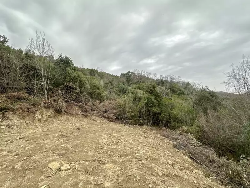 Land 1m² in Montenegro, Utjeha. Priced at 30000€ rent photo-9