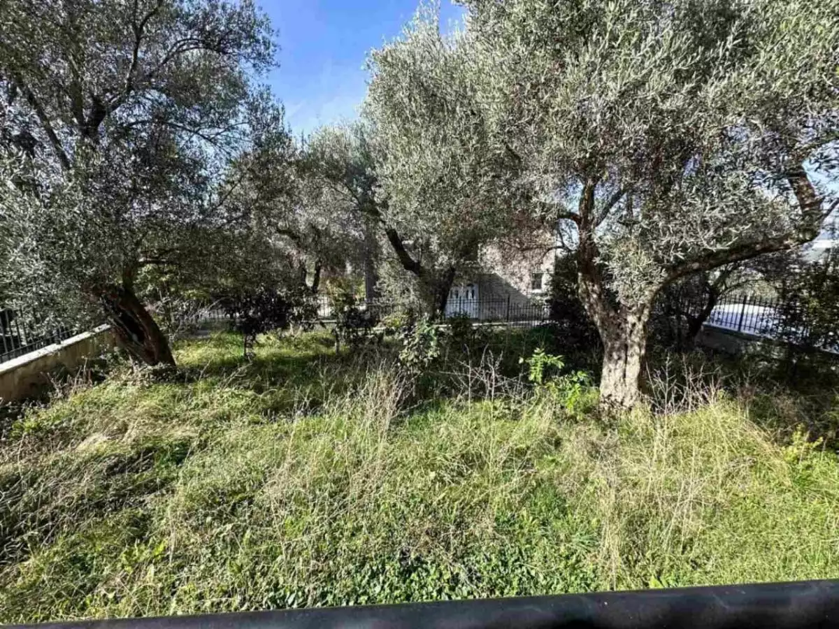 House 220m² in Montenegro, Zaljevo. Priced at 250000€ rent photo-10