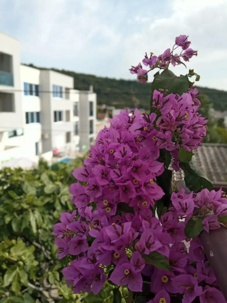 House 199m² in Montenegro, Utjeha. Priced at 350000€ rent photo-8