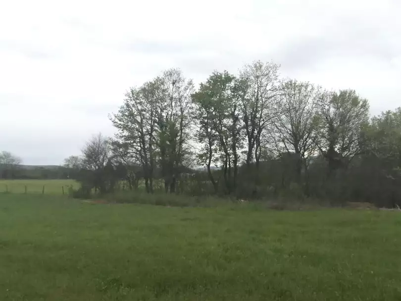 Land 1m² in Montenegro, Danilovgrad. Priced at 120000€ rent photo-2