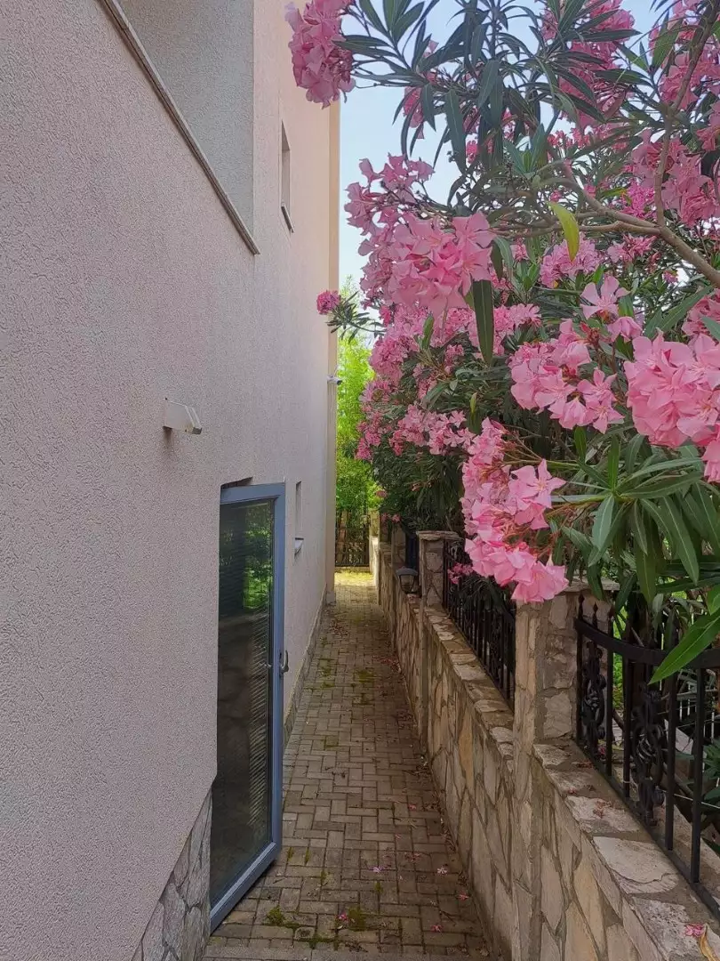Flat 28m² in Montenegro, Utjeha. Priced at 66000€ rent photo-2