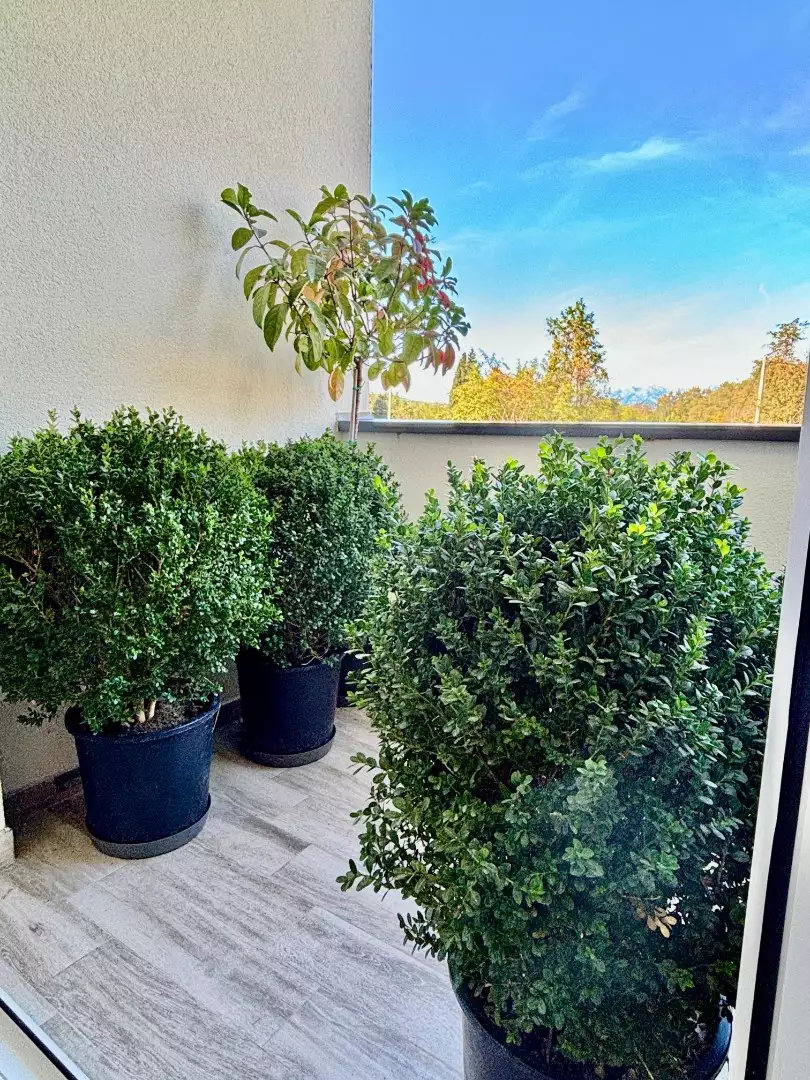 Flat 45m² in Montenegro, Radanovici. Priced at 125000€ rent photo-8