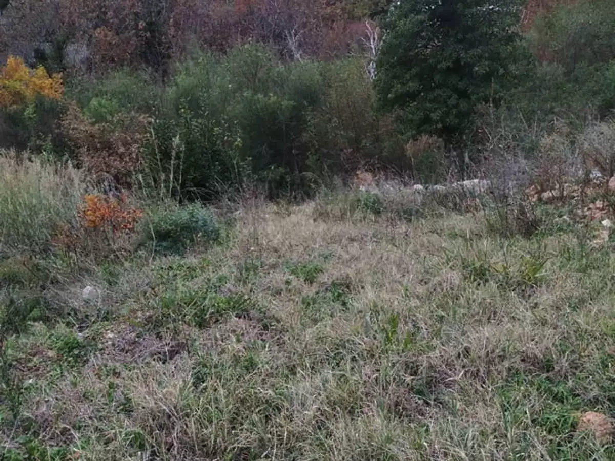 Land 1m² in Montenegro, Sutomore. Priced at 38500€ rent photo-6