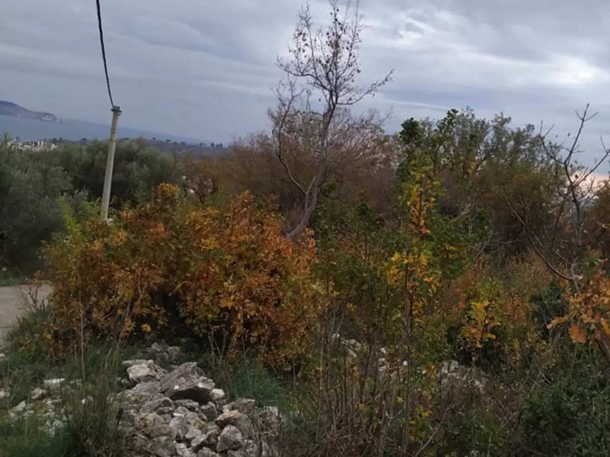 Land 1m² in Montenegro, Sutomore. Priced at 38500€ rent photo-7