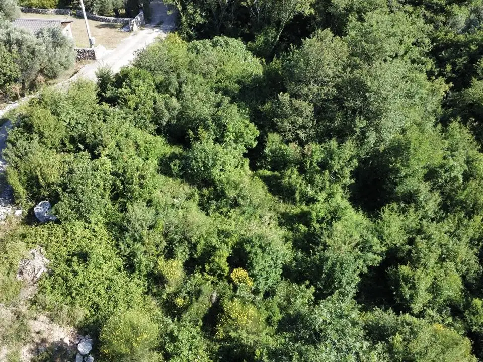 Land 1m² in Montenegro, Sutomore. Priced at 34000€ rent photo-5