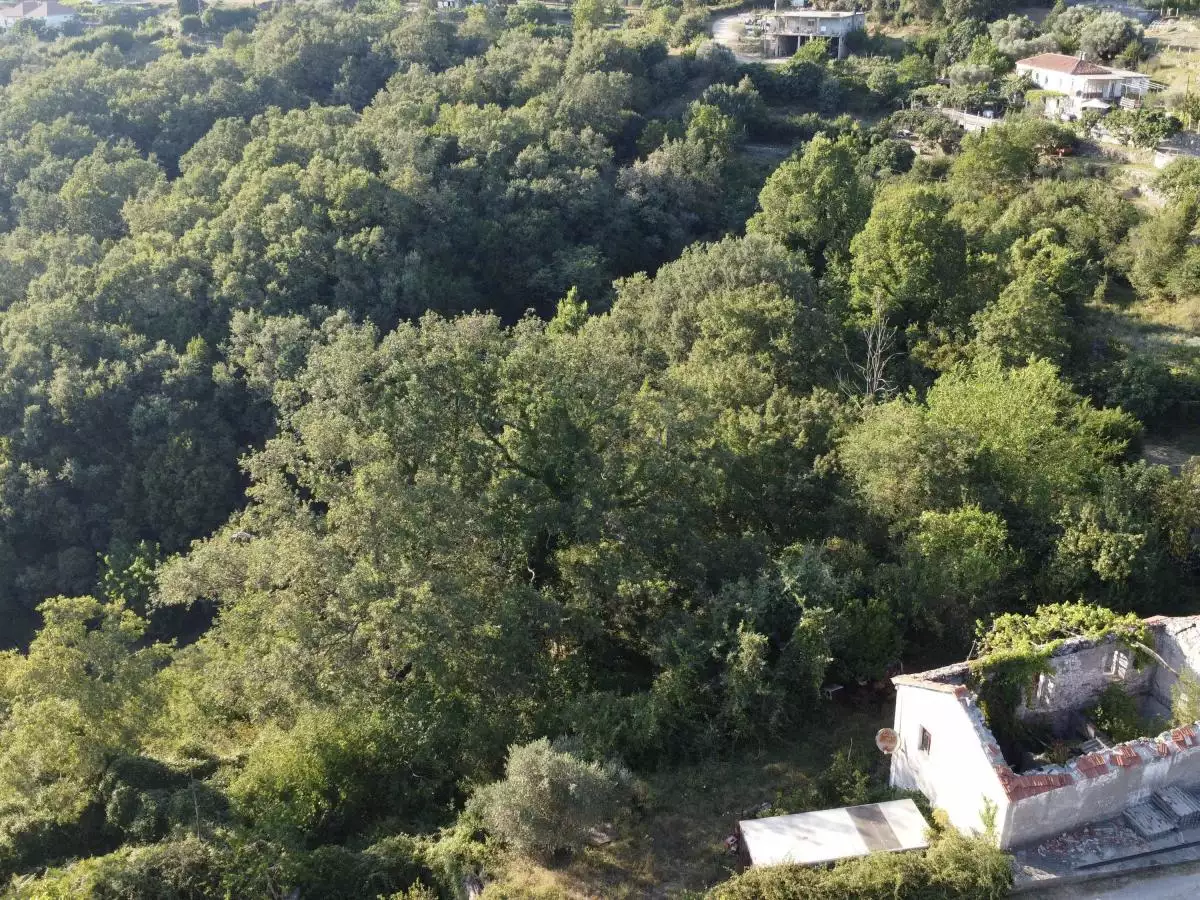 House 154m² in Montenegro, Utjeha. Priced at 83000€ rent photo-2