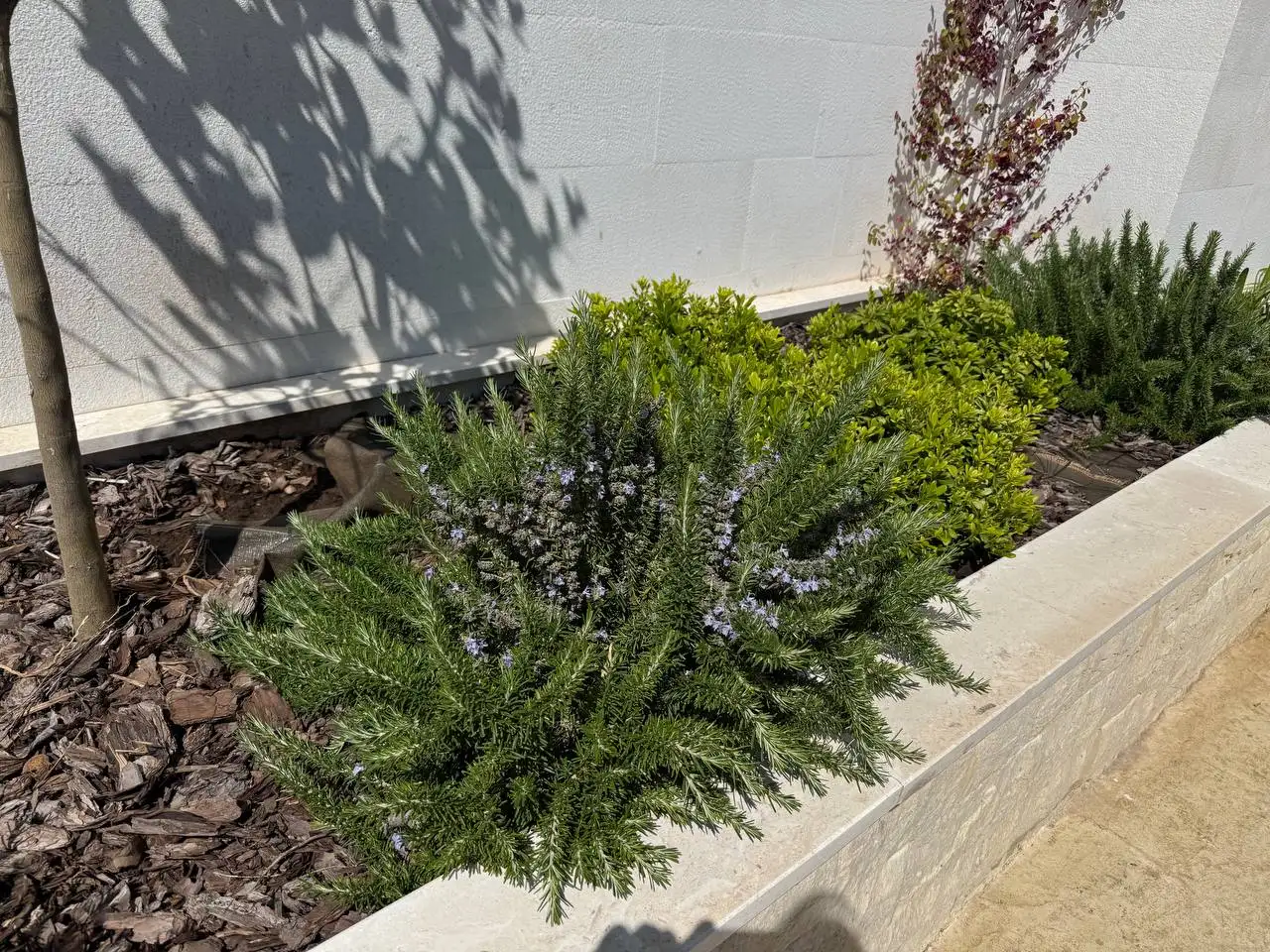 Flat 33m² in Montenegro, Bar. Priced at 103000€ rent photo-9