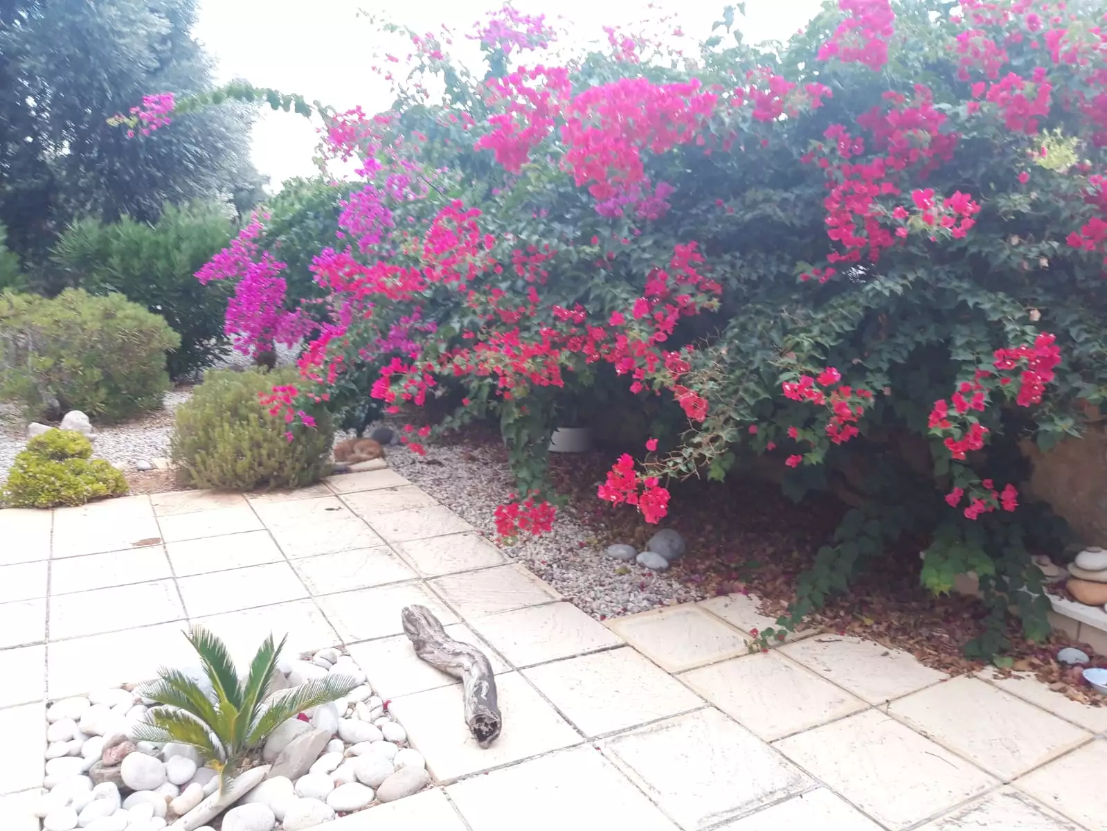 Flat 94m² in Cyprus, Esentepe. Priced at 134550€ rent photo-15