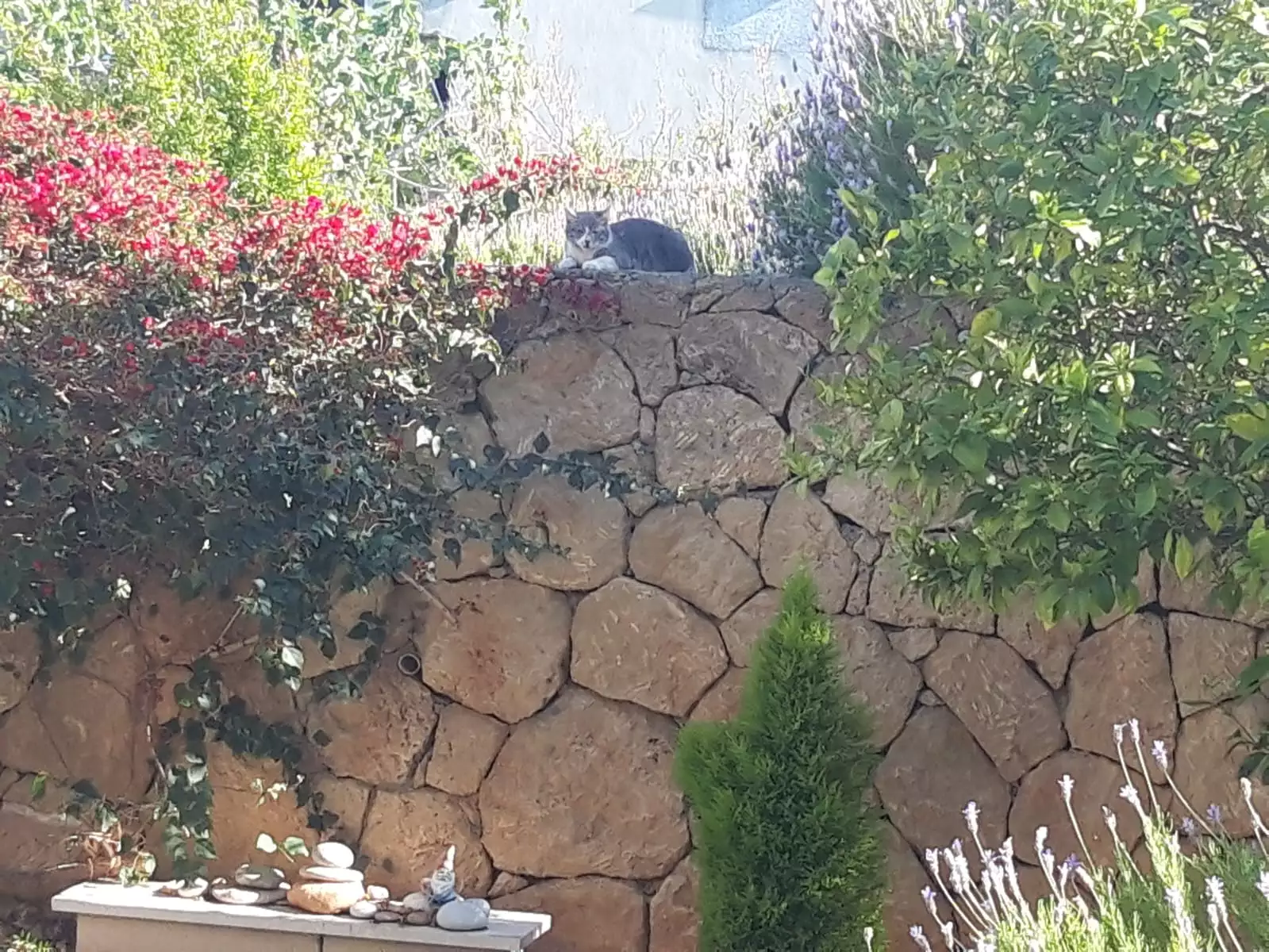 Flat 94m² in Cyprus, Esentepe. Priced at 134550€ rent photo-16