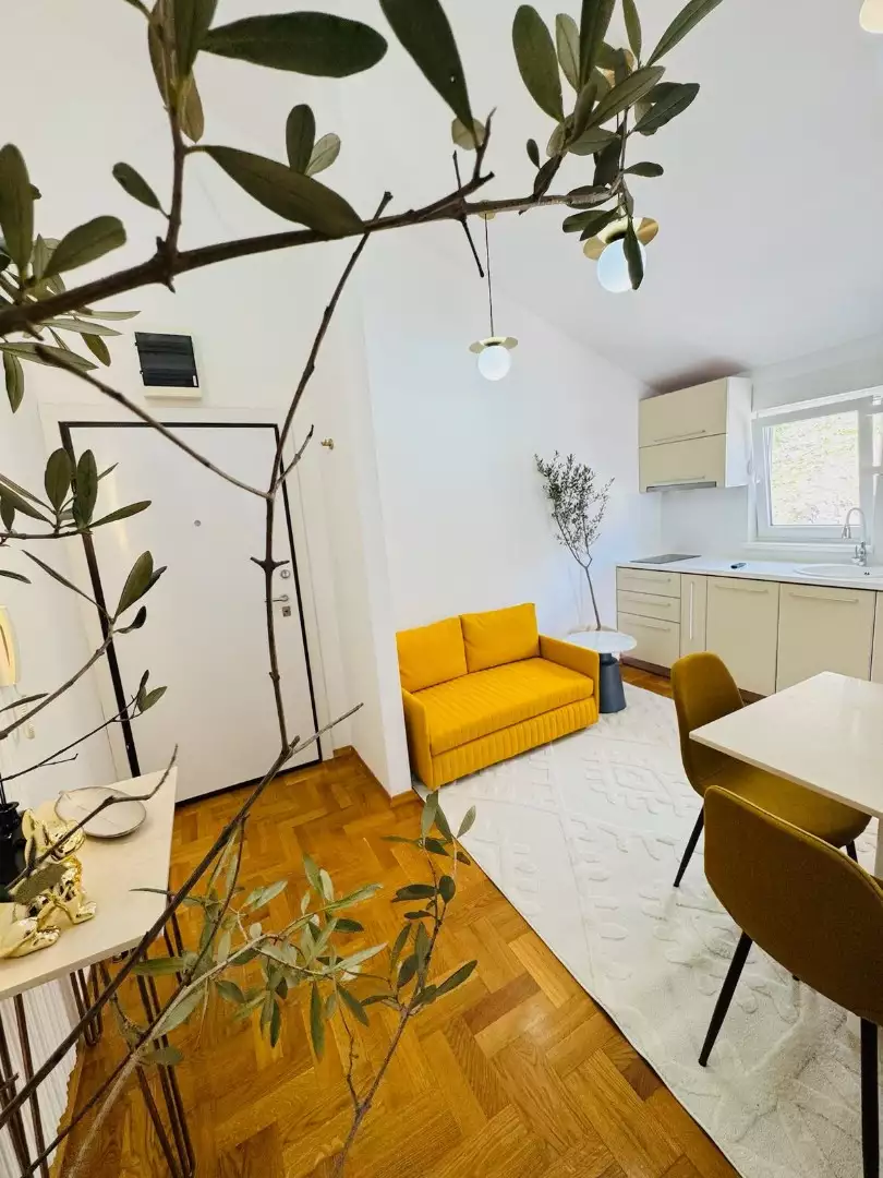 Flat 30m² in Montenegro, Petrovac. Priced at 100000€ rent photo-7