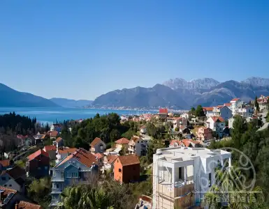 Buy in Montenegro for 227600€