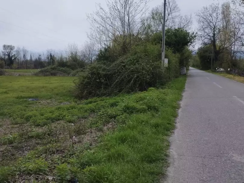 Land 1m² in Montenegro, Podgorica. Priced at 99000€ rent photo-1