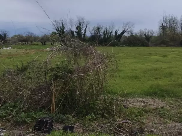 Land 1m² in Montenegro, Podgorica. Priced at 99000€ rent photo-3