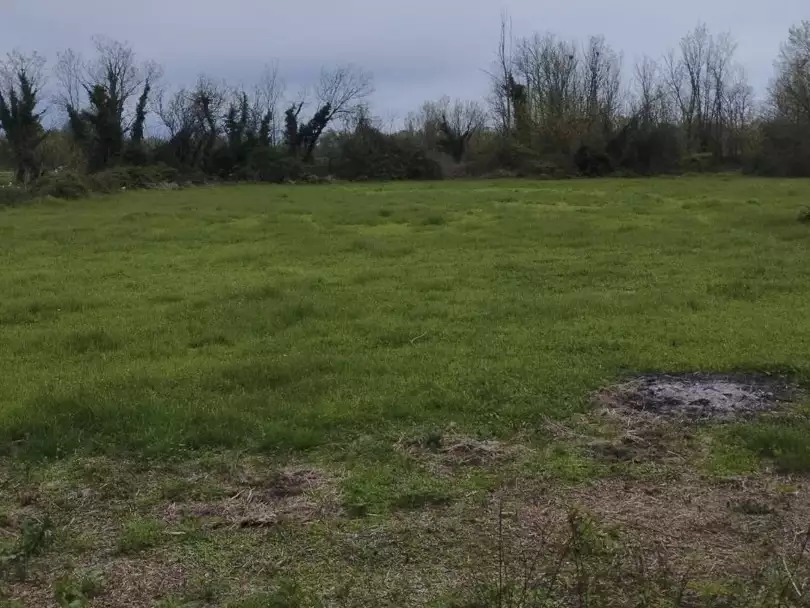 Land 1m² in Montenegro, Podgorica. Priced at 99000€ rent photo-4