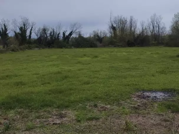 Land 1m² in Montenegro, Podgorica. Priced at 99000€ rent photo-6