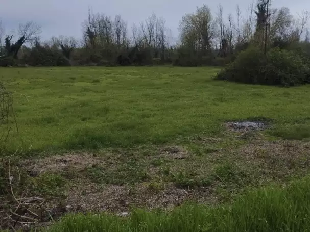 Land 1m² in Montenegro, Podgorica. Priced at 99000€ rent photo-7