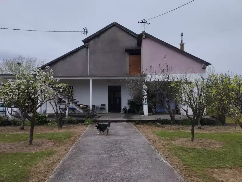 House 200m² in Montenegro, Podgorica. Priced at 135000€ rent photo-1