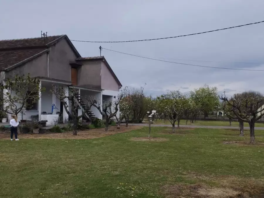 House 200m² in Montenegro, Podgorica. Priced at 135000€ rent photo-7