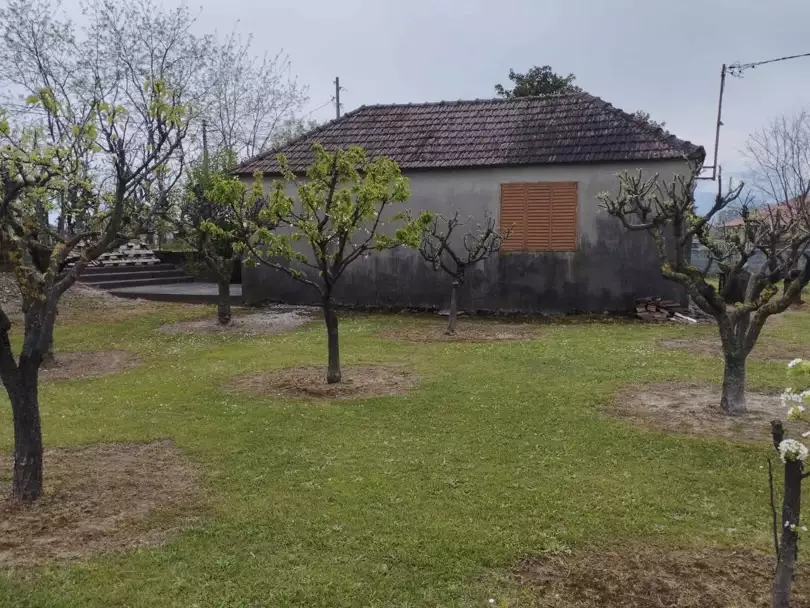House 200m² in Montenegro, Podgorica. Priced at 135000€ rent photo-19