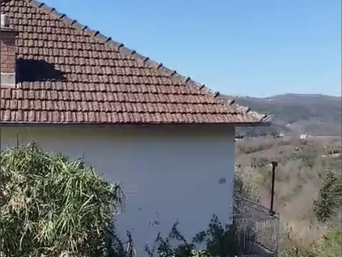 House 66m² in Montenegro, Radanovici. Priced at 260000€ rent photo-8