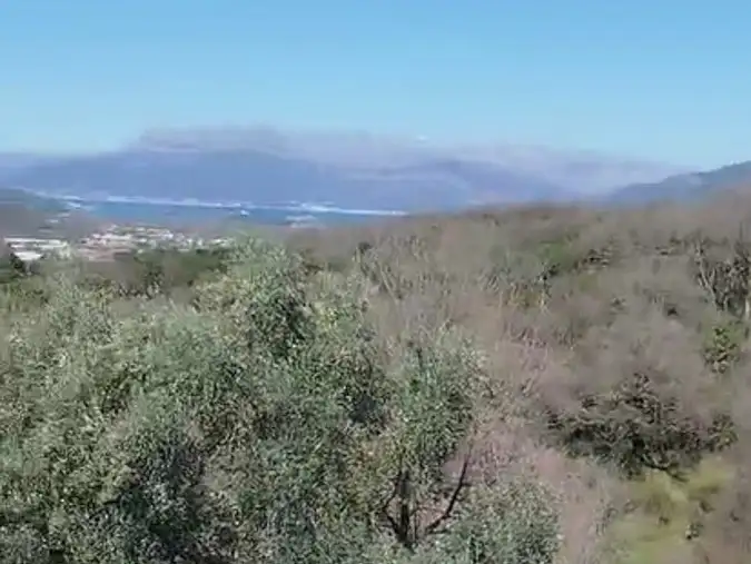 House 66m² in Montenegro, Radanovici. Priced at 260000€ rent photo-15