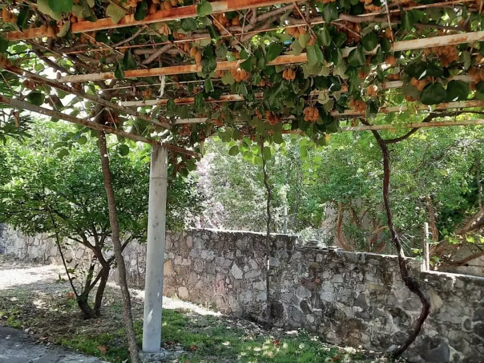 House 80m² in Montenegro, Sutomore. Priced at 82000€ rent photo-8
