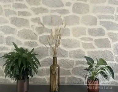 Buy in France for 1095000€